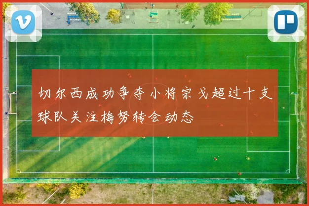 切尔西成功争夺小将宗戈超过十支球队关注梅努转会动态